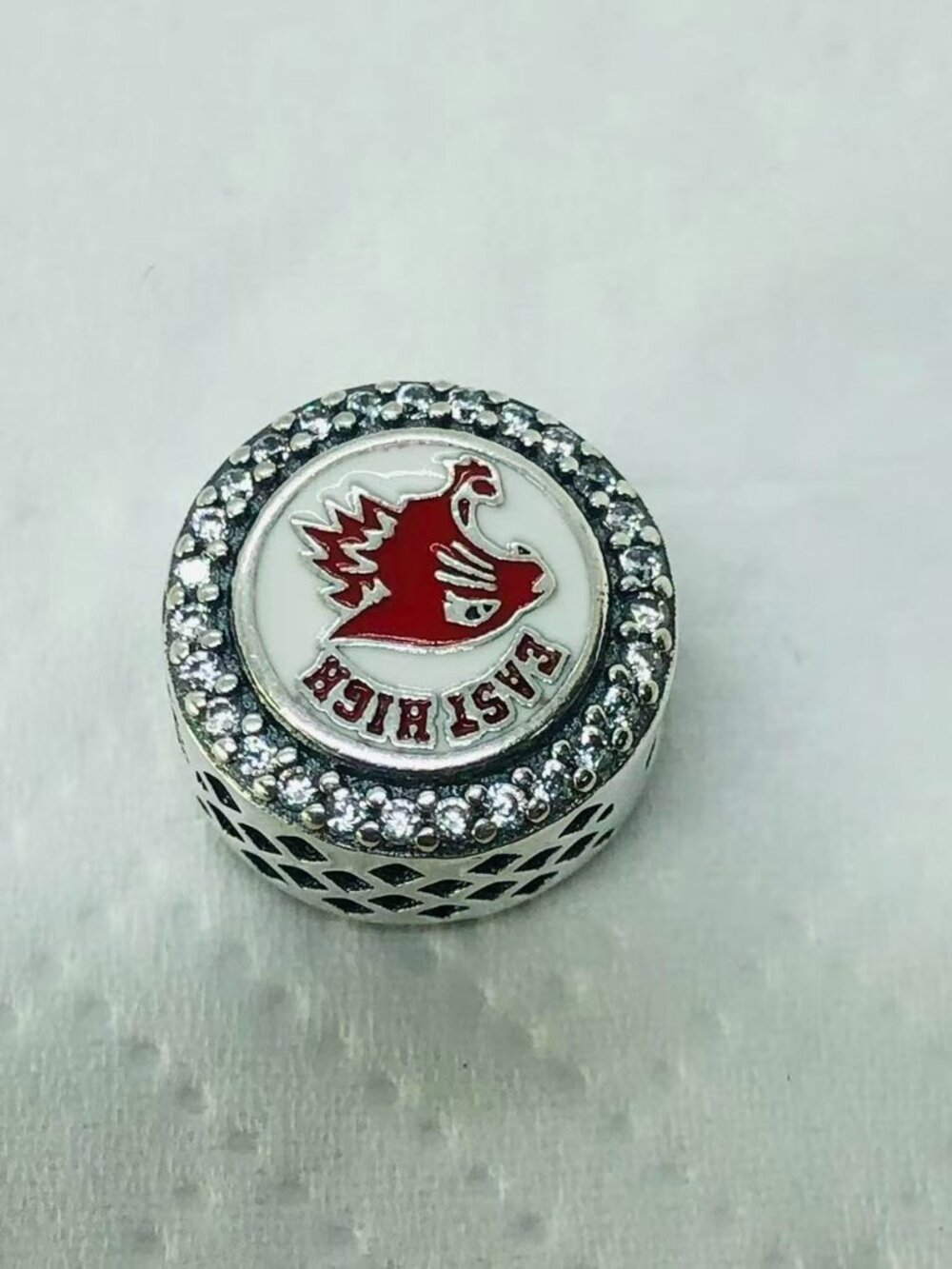 ✨ ✨Pandora EAST HIGH charm High School Musical Charm